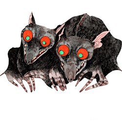#155