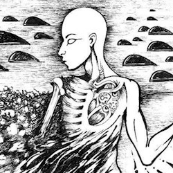 #351