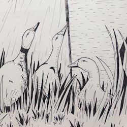 #677