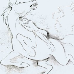 #612
