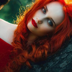 #1541