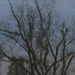 #4068