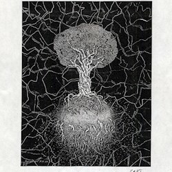 #5520
