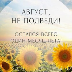 #8102