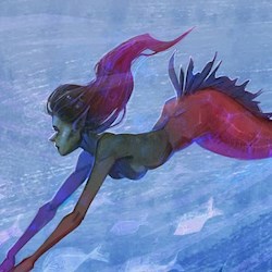 #11586