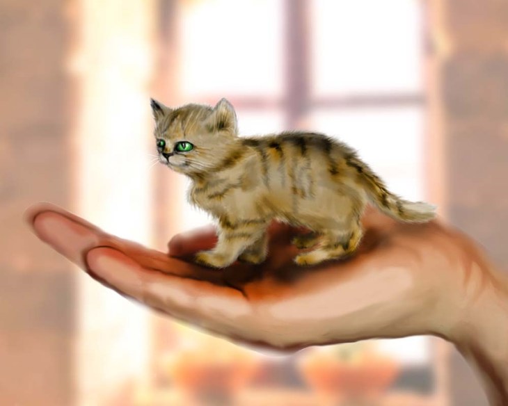 Иллюстрация