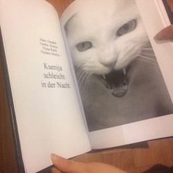 #18643