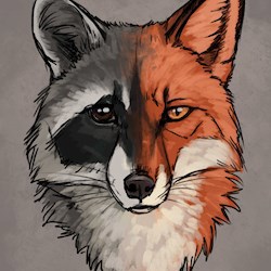 #23905
