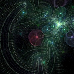 #24468