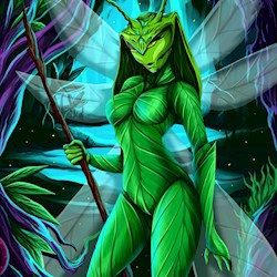 #26546