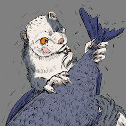 #30496