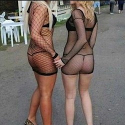 #33031