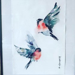 #34357