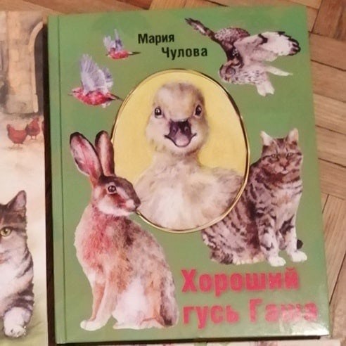 Иллюстрация