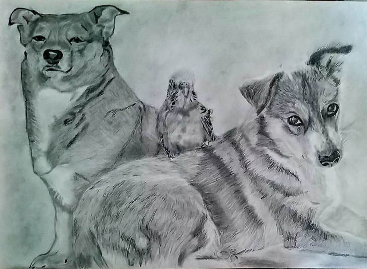 Иллюстрация