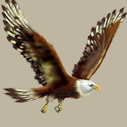 #39171