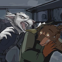 #41736