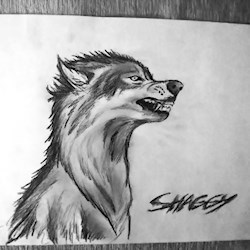 #46202