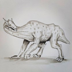 #46811