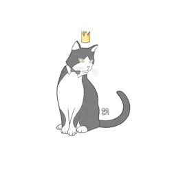 #49080