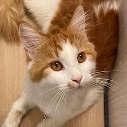 #49063