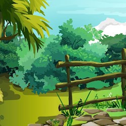 #49569