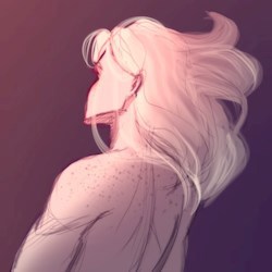 #50464