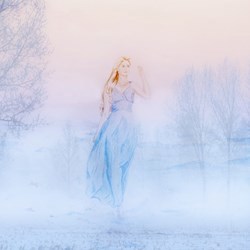 #51582