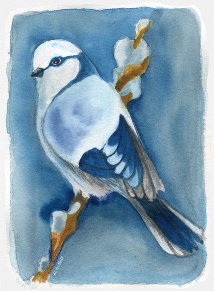 Иллюстрация