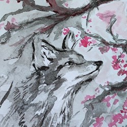 #64680