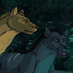#64714