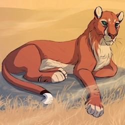 #72352