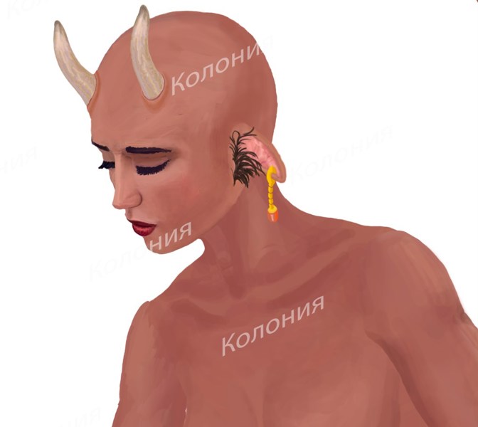 Иллюстрация