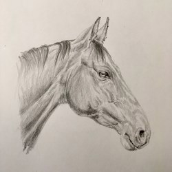 #94345