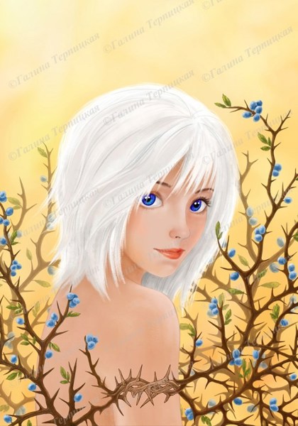 Иллюстрация