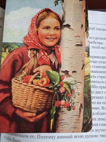 Иллюстрация