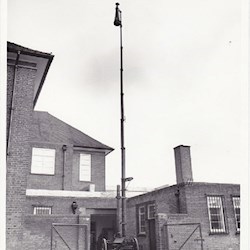 #195020