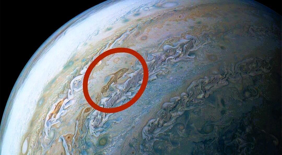 Реальный Юпитер (фото NASA)