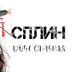 #204064