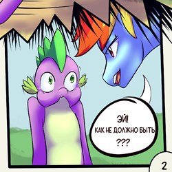#222807