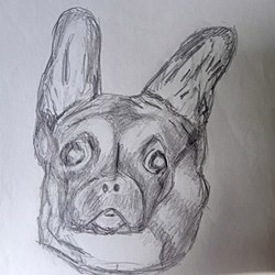 #223349